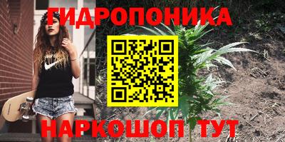 a pvp Донской