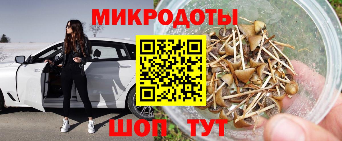 Галлюциногенные грибы GOLDEN TEACHER  Вход с VPN  Междуреченск 